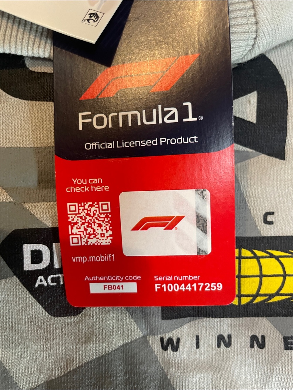 Formula 1 Grey Racing Graphic Distressed Oversized Crewneck Sweatshirt S NWT - Picture 5 of 5